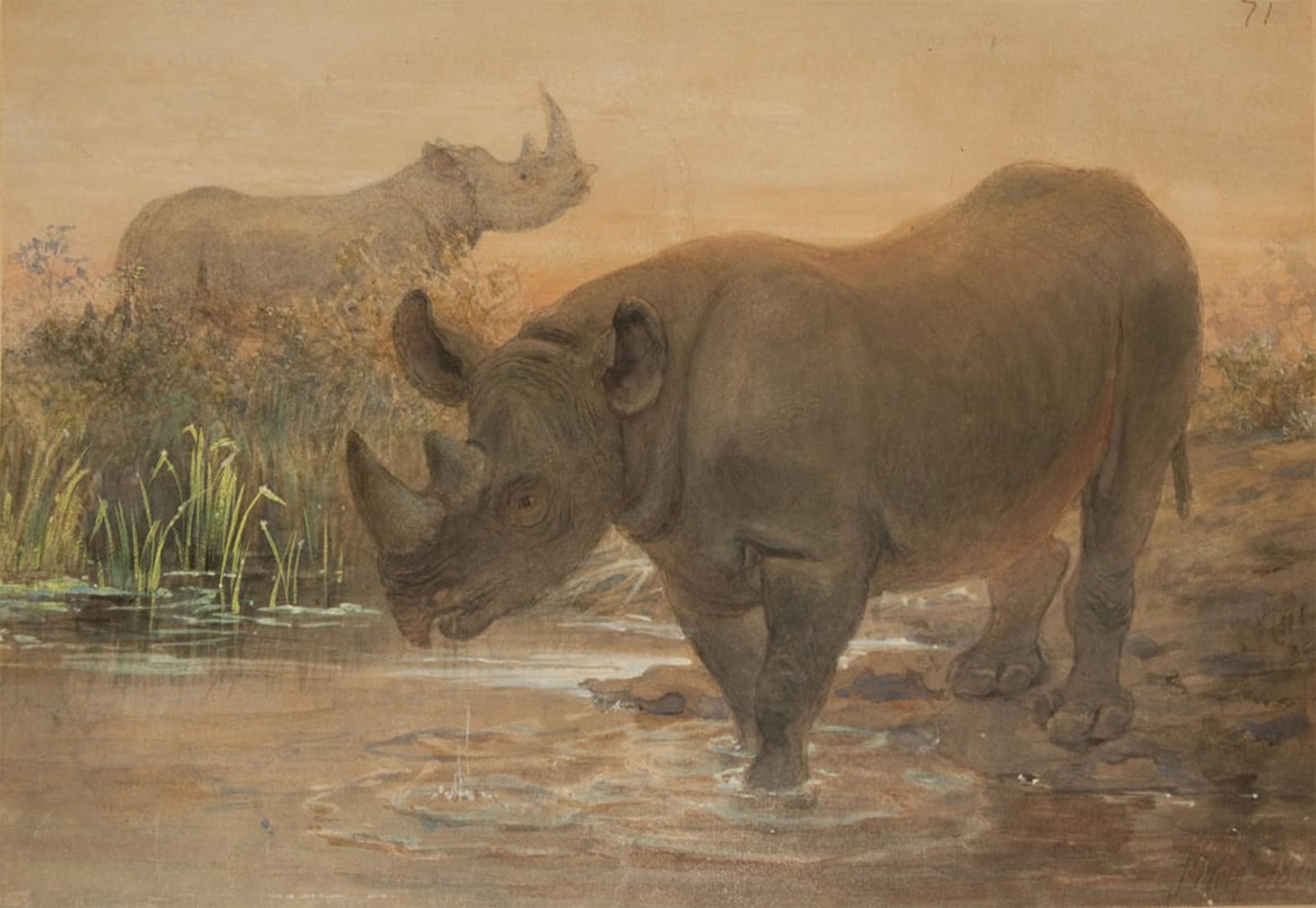 POSTERIIk Famous Modern Artwork Art Mural African Rhinoceros by Wolf Oil Paintings Pictures for Home Decor 60x90cm