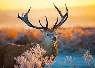 HUADADA Jigsaw Puzzles 1000 Pieces for Adults jigsaw puzzles for adults 1000 Piece Puzzle Educational Games-Puzzle with a Deer Theme.