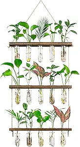 Monsiter QE 3-Tier Wall Hanging Propagation Station with Wooden Stand