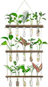 Monsiter QE 3 Tier Wall Hanging Propagation Stations with 15 Glass Test Tubes, Plant Terrarium Propagation Tubes Planter for Hydroponic Cuttings, Window Decor Gift for Plant Lovers