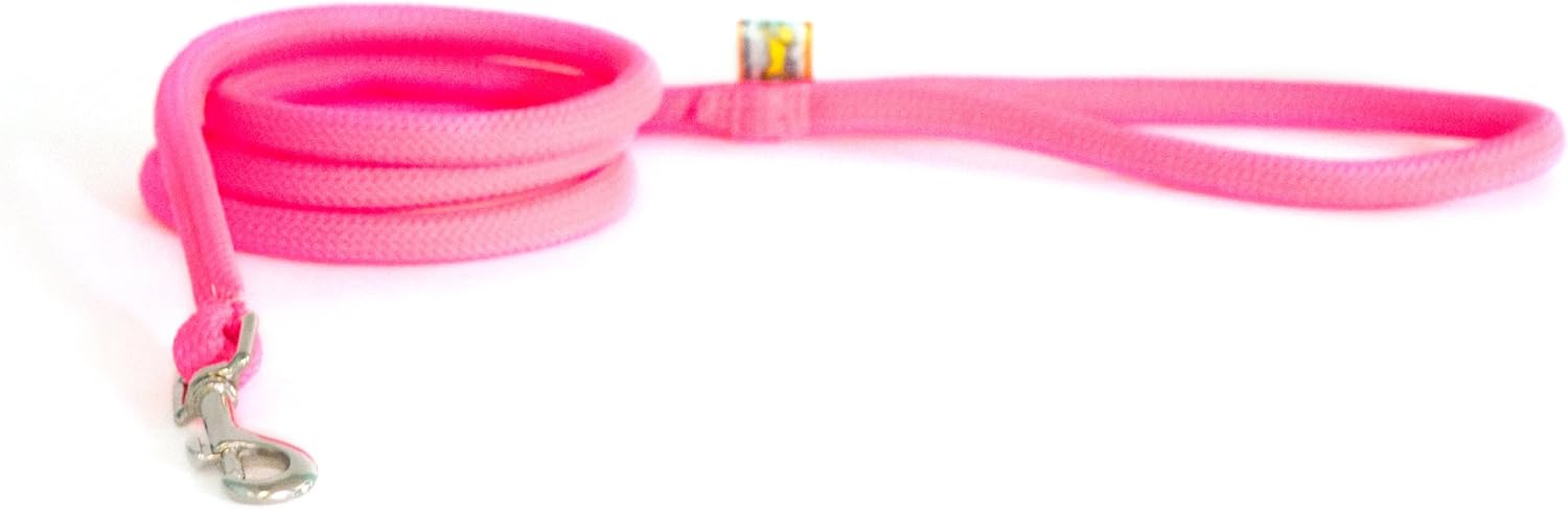 Yellow Dog Design Round Braided Lead for Dogs, 3/8-Inch, Teal
