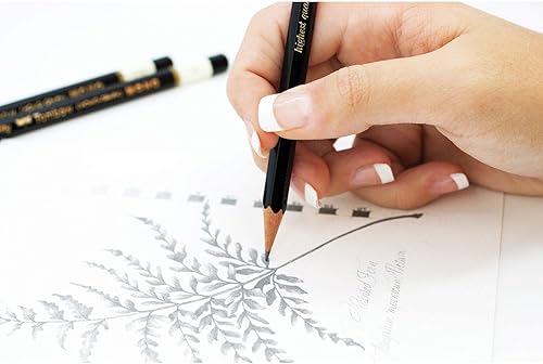 Miniatura 2 de Tombow MONO lápiz para dibujo paquete combo con goma de borrar Zero de grafito 6 unidades Negro