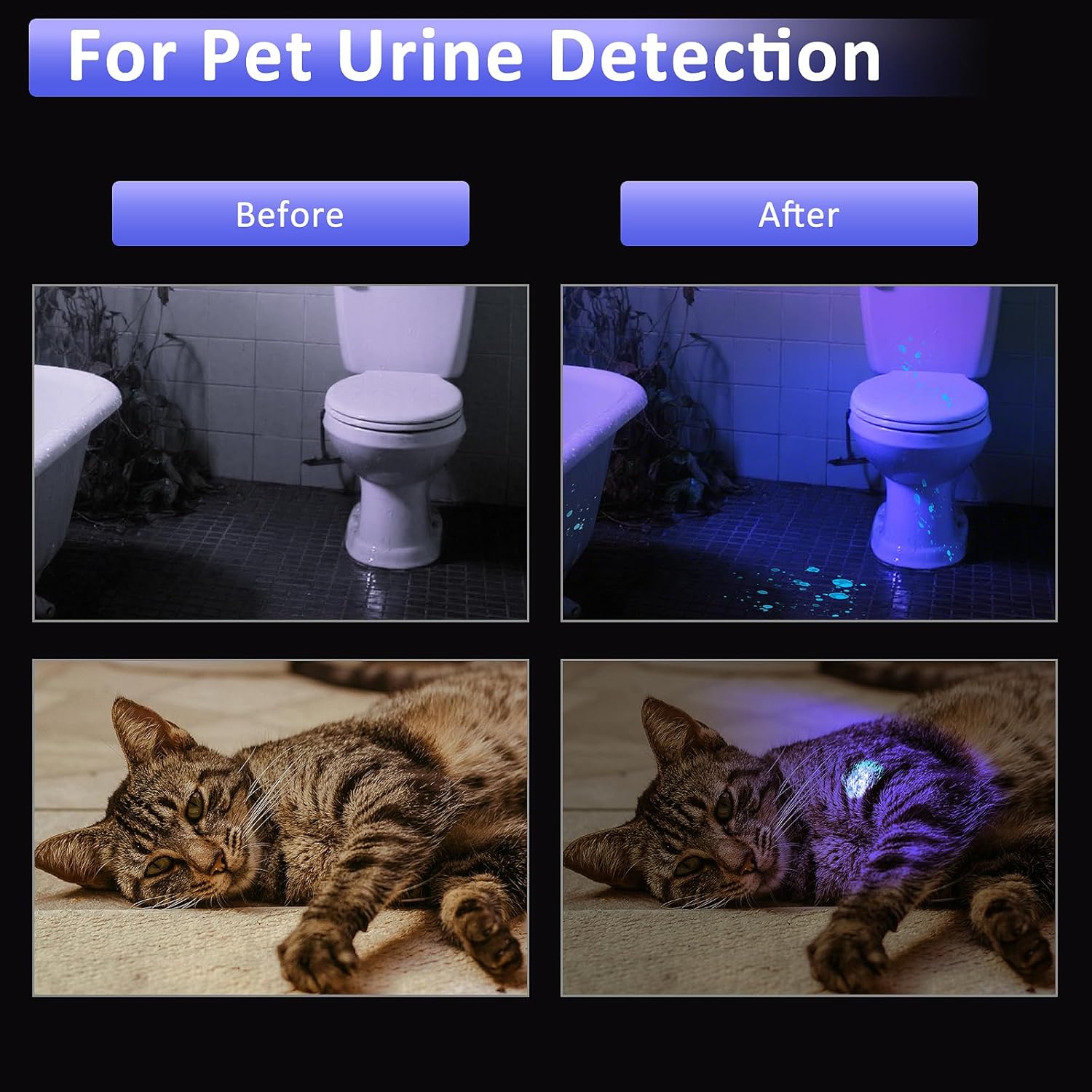 WINDFIRE Dive Light, 395 nm UV Scuba Flashlight, Waterproof Black Light Flashlight with Power Indicator for Scuba Diving, Underwater Fluorescence & Pet Urine Detection