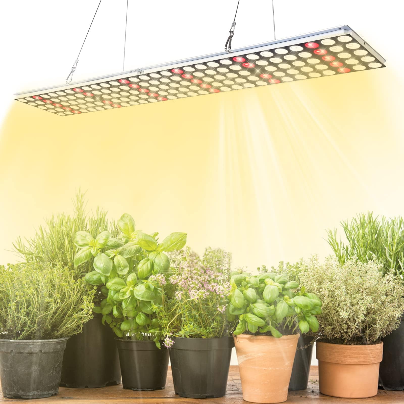 Amazon | 植物成長ライト 600W LED植物育成ライト フルスペクトル 植物ライト 2つのスイッチ 三種類照明モード 植物育成用 ...