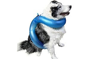 Pawsitively Buoyant Dog Float