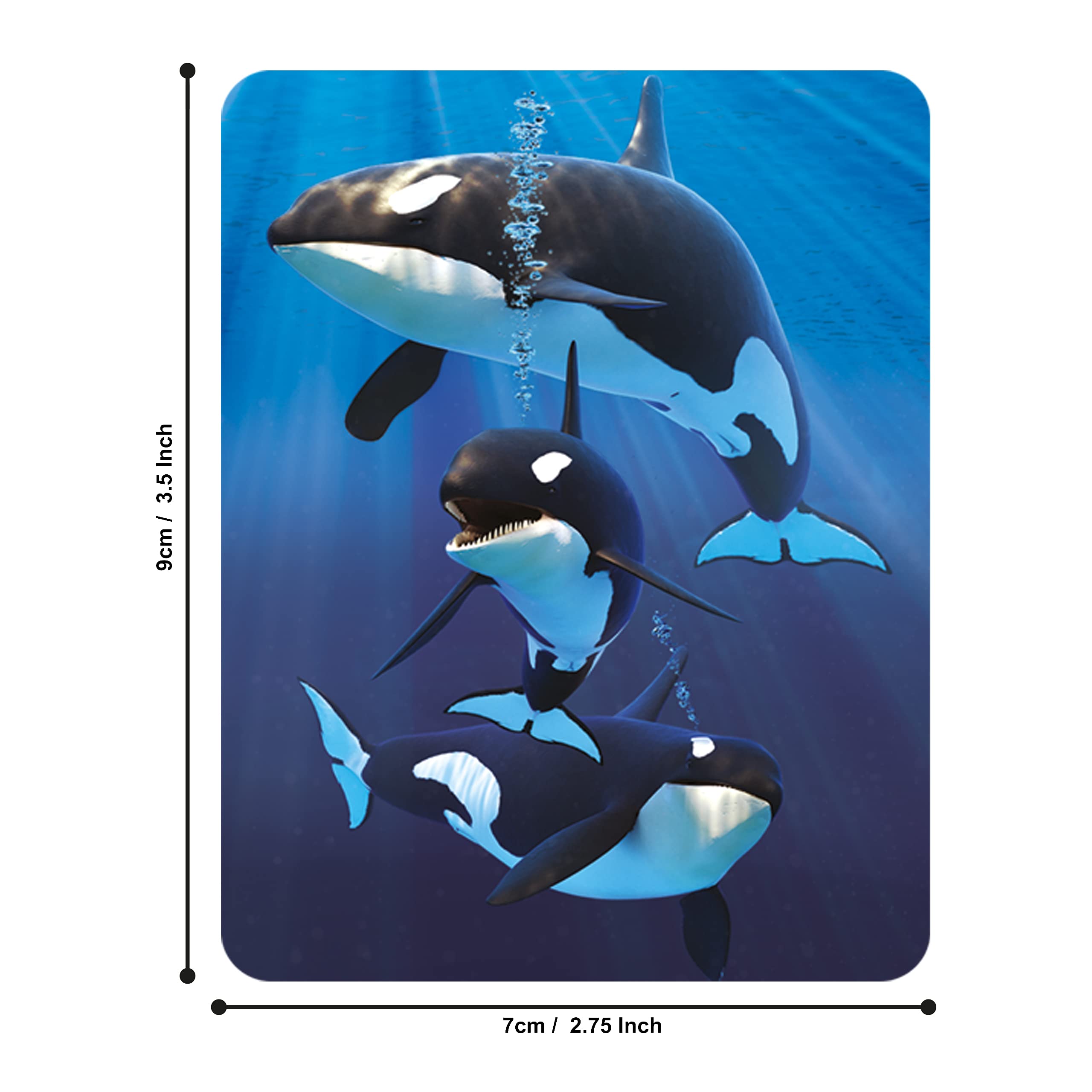 Imán De Nevera 3D Con Diseño De Orcas - 7x9 Cm, Efecto Lenticular, Para Decoración O Regalo