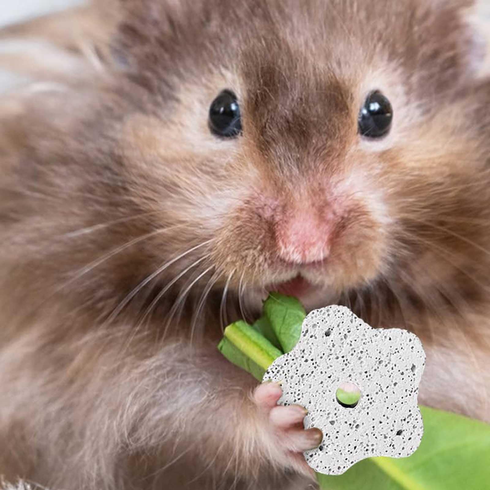 2 Pack Natural Calcium Mineral Stone: Hamster Teeth Grinding Toy,Guinea Pig Chew Toys for Small Pets Including Parrots as Chewing Block Snacks - Image 2
