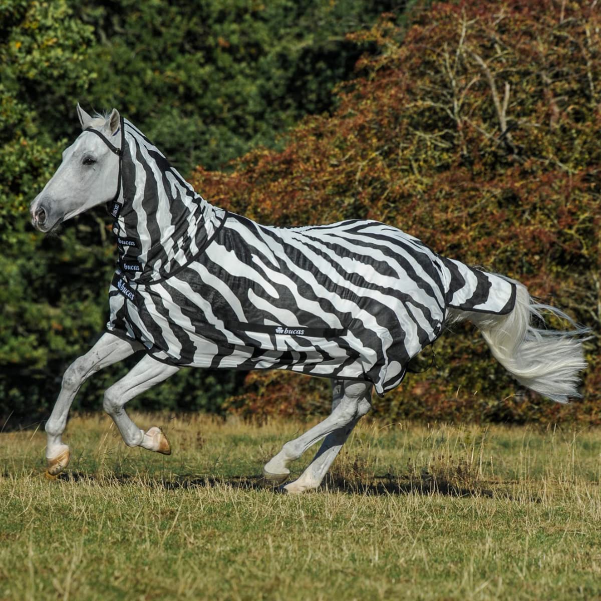 Bucas Buzz-Off Fliegendecke Zebra Full-Neck, 155