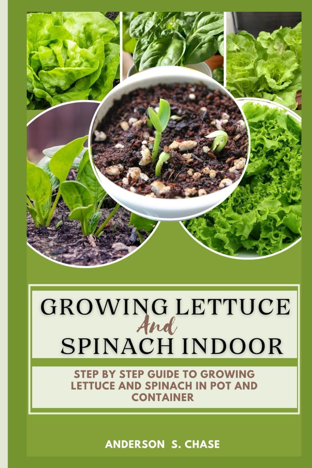 Growing Lettuce And Spinach Indoor: Step By Step Guide To Growing Lettuce And Spinach In Pot And Container (Growing vegetable in pot and containers)