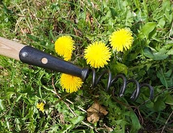DeWit Corkscrew Weeder with Long Handle