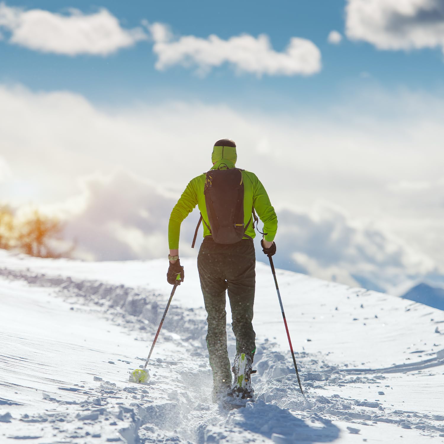 FIZAN Trekkingstöcke 65-140 cm, Nordic Walking Stöcke, Wanderstöcke | Lhotse S20 7506 | Grün