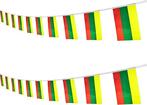 Lithuania Lithuanians String Banner Flag,16 ft 20 Mini Flags String, 5.5 x 8.2 Inch String Flag Banner, Indoor and Outdoor Party Decorations.