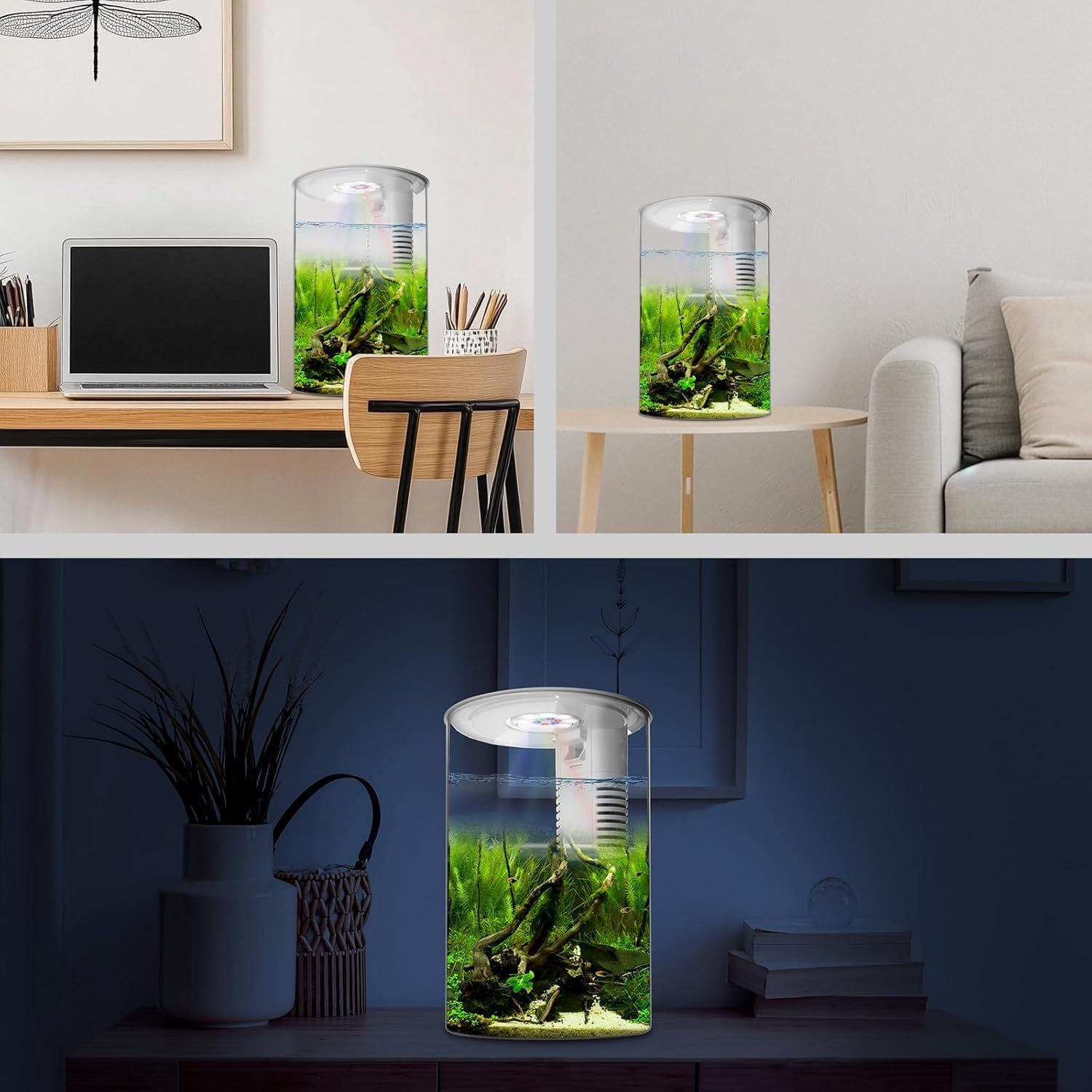 Fish Tank Night Light, 3 Gallon Fish Tank with Filter and Light, Self-Cleaning Desktop Aquarium Starter Kit & LED Lamp, 360 View for Small Fish, Kids Room & Home Decor (7Color)