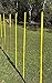BlueDot Trading Soccer Agility Poles | 6ft Collapsible Training Poles (6pc) for Speed, Agility, Outdoor Games & Exercise Soccer Training Equipment for Turf, Field, Court – with Metal Ground Spikes