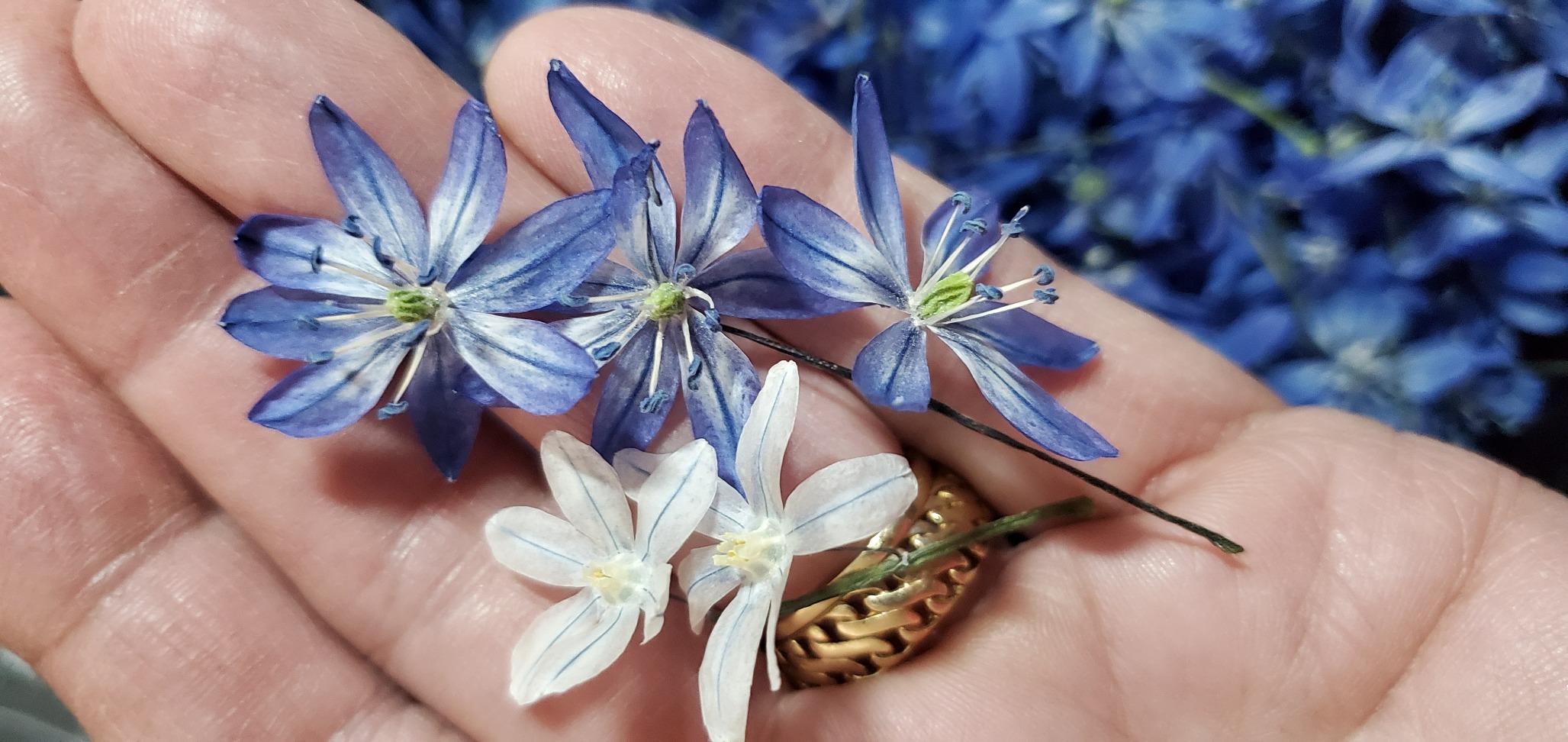 Dries delicate flowers with minimal breakage