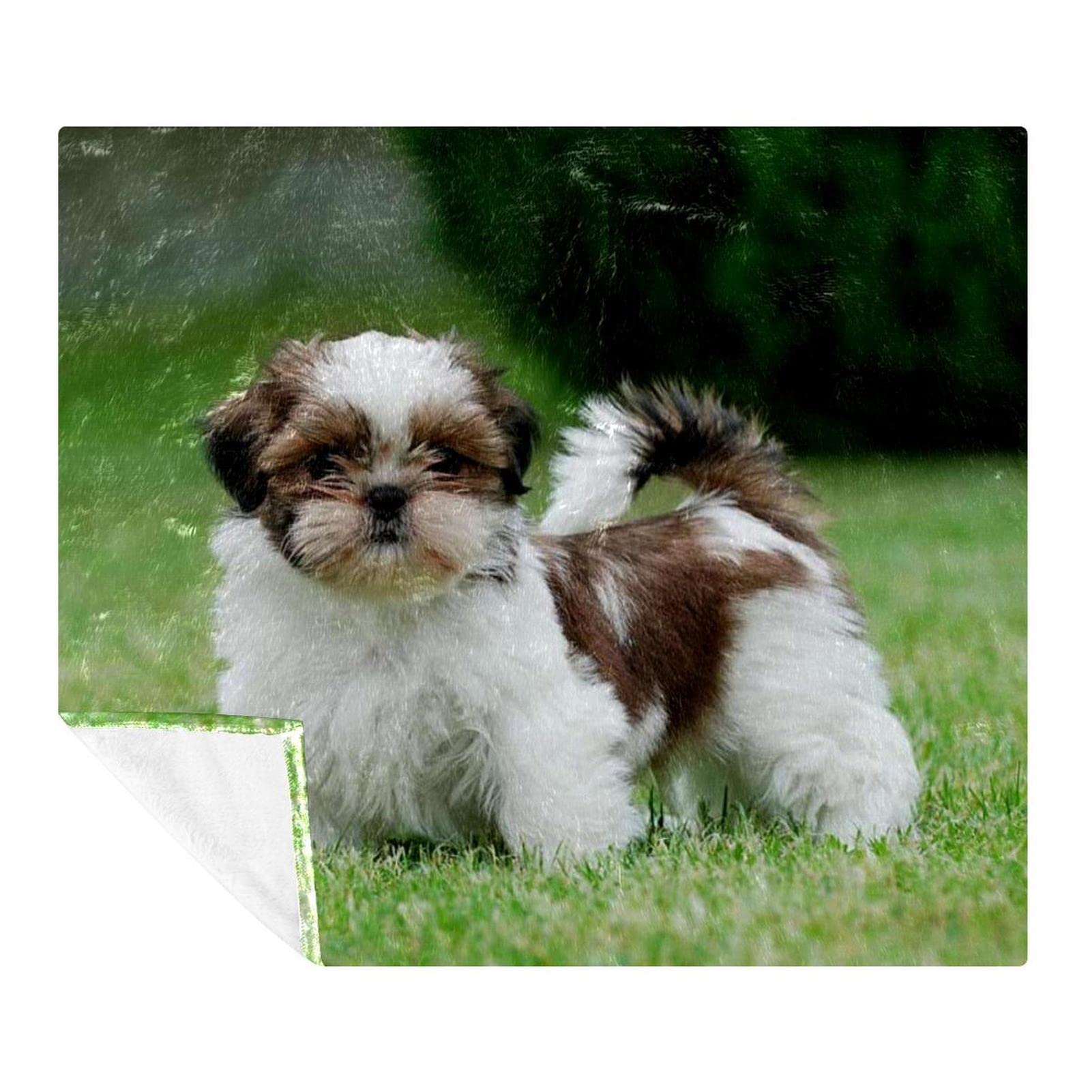 Couverture polaire super douce pour chien Shih Tzu Chiot