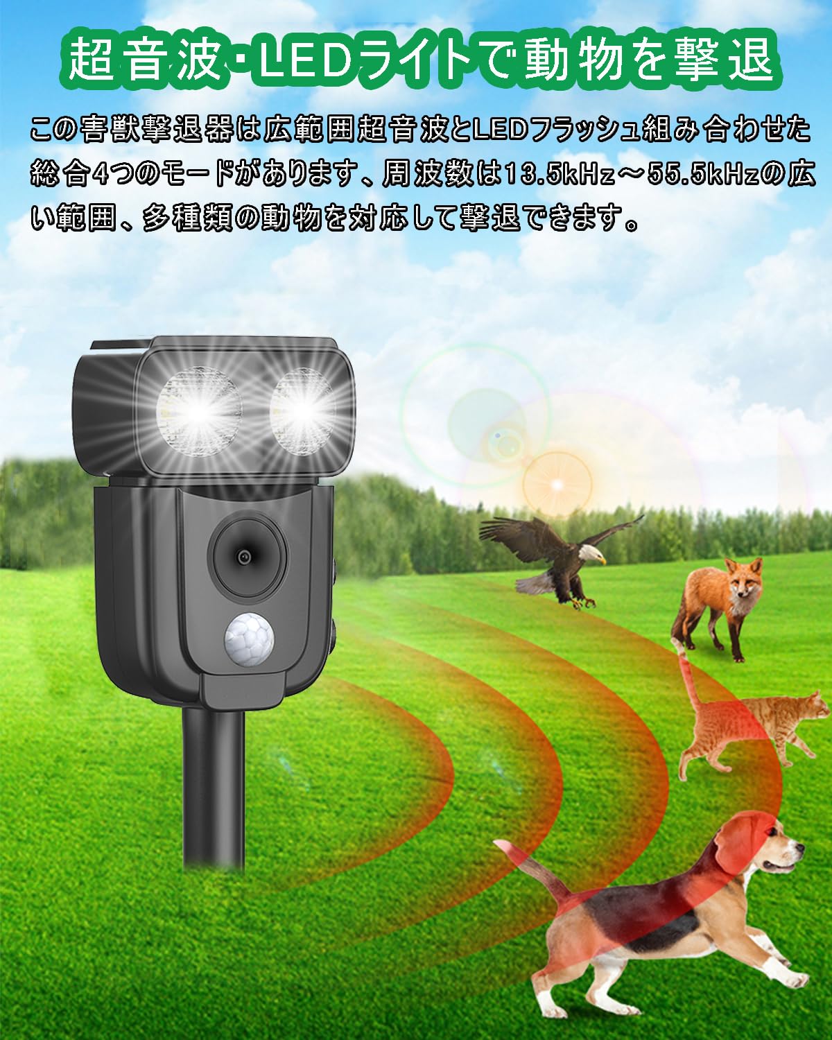 【foil】害獣駆除　英語　4枚セット foil】害獣駆除 英語 4枚セット Amazon.co.jp: foil害獣駆除 英語