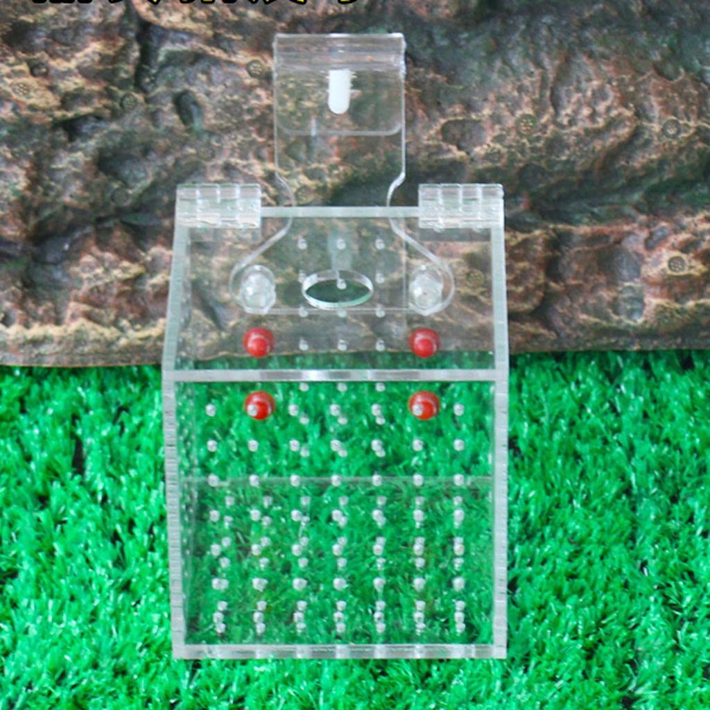 Enakshi Aquarium Tank Fish Breeding Hatchery Incubator Isolation Box Single Grid Pet Supplies