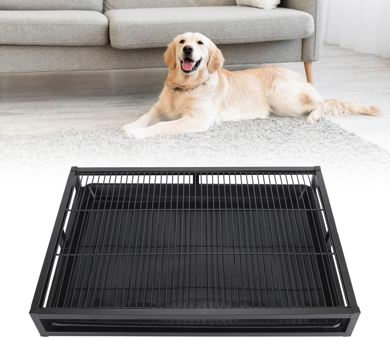 Qinlorgo Dog Training Toilet Puppy Potty Tray Dog Potty Tray Heavy Duty Iron Reusable Indoor Outdoor Pee Pad Holder with Protection for Small Medium Dogs (Large)