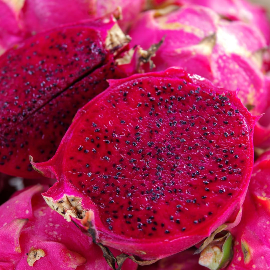 M-Tech Gardens Dragon Fruit Plant (Red Flesh, Hybrid) Dragonfruit Exotic 1 Live Fruit Plant (B09MKZPMS6) Amazon Price History, Amazon Price Tracker