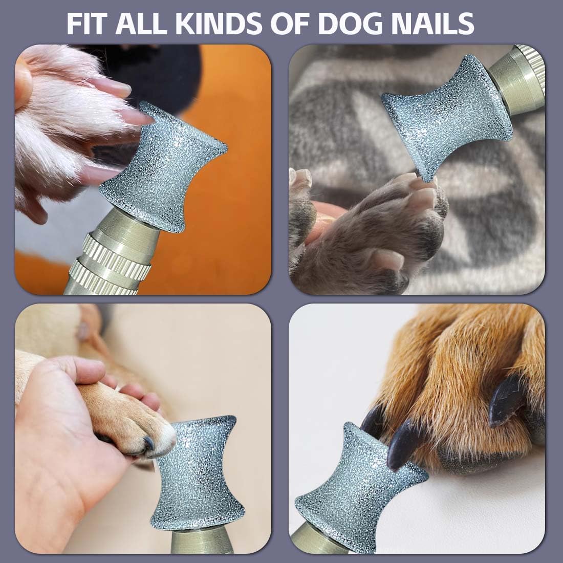 Diamond Rotary Nail Grinder Bits for Dog, 2PCS Diamond Dog Nail Grinder Head for Dremel,1/8" Replacement Grinder Wheel Pets Nail Grooming Tools for Medium Large Dogs