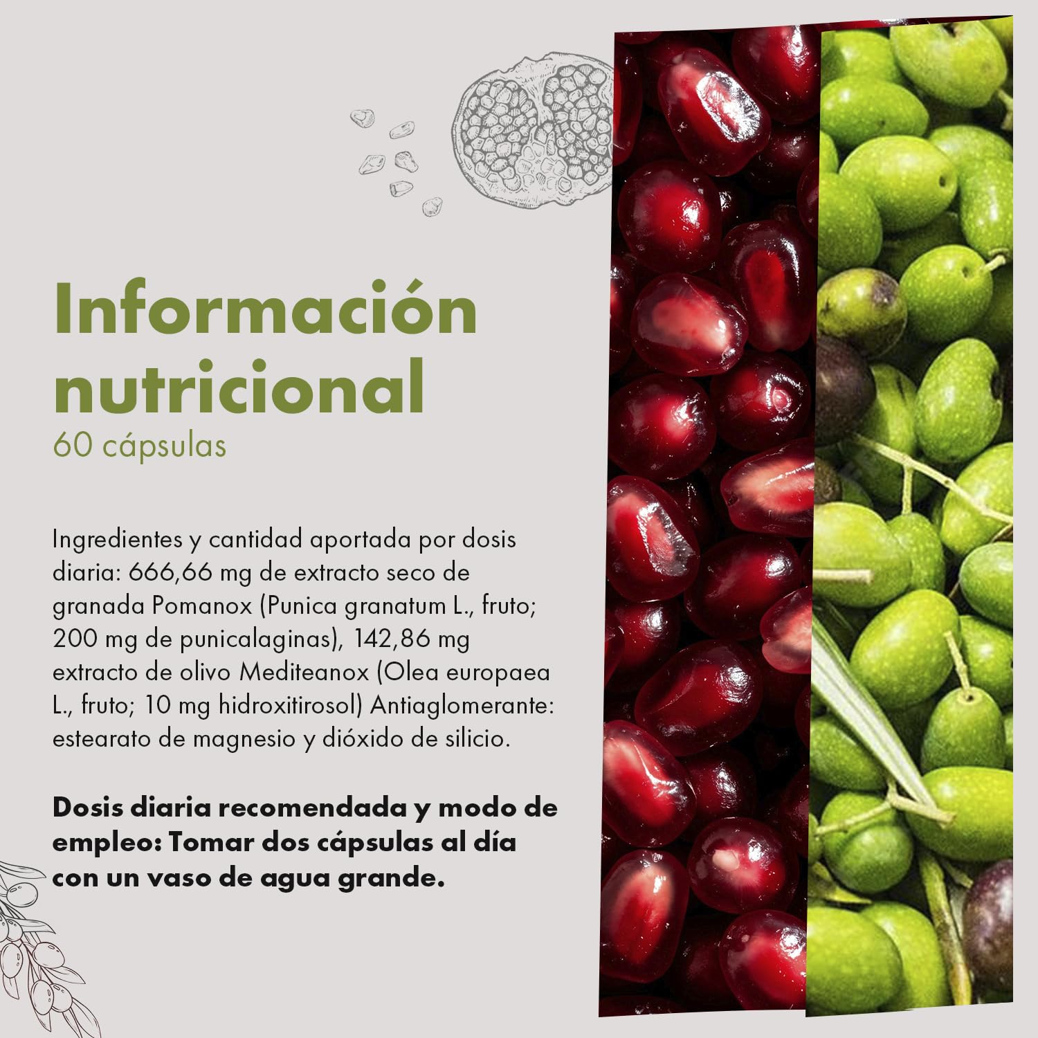 Granatum Plus - Punicalagina e Hidroxitirosol - Extracto de Granada y Oliva Extra Virgen - Antioxidante y Antiinflamatorio - Cuidado de la Piel - Producido en España - 1 Caja 60 Cápsulas