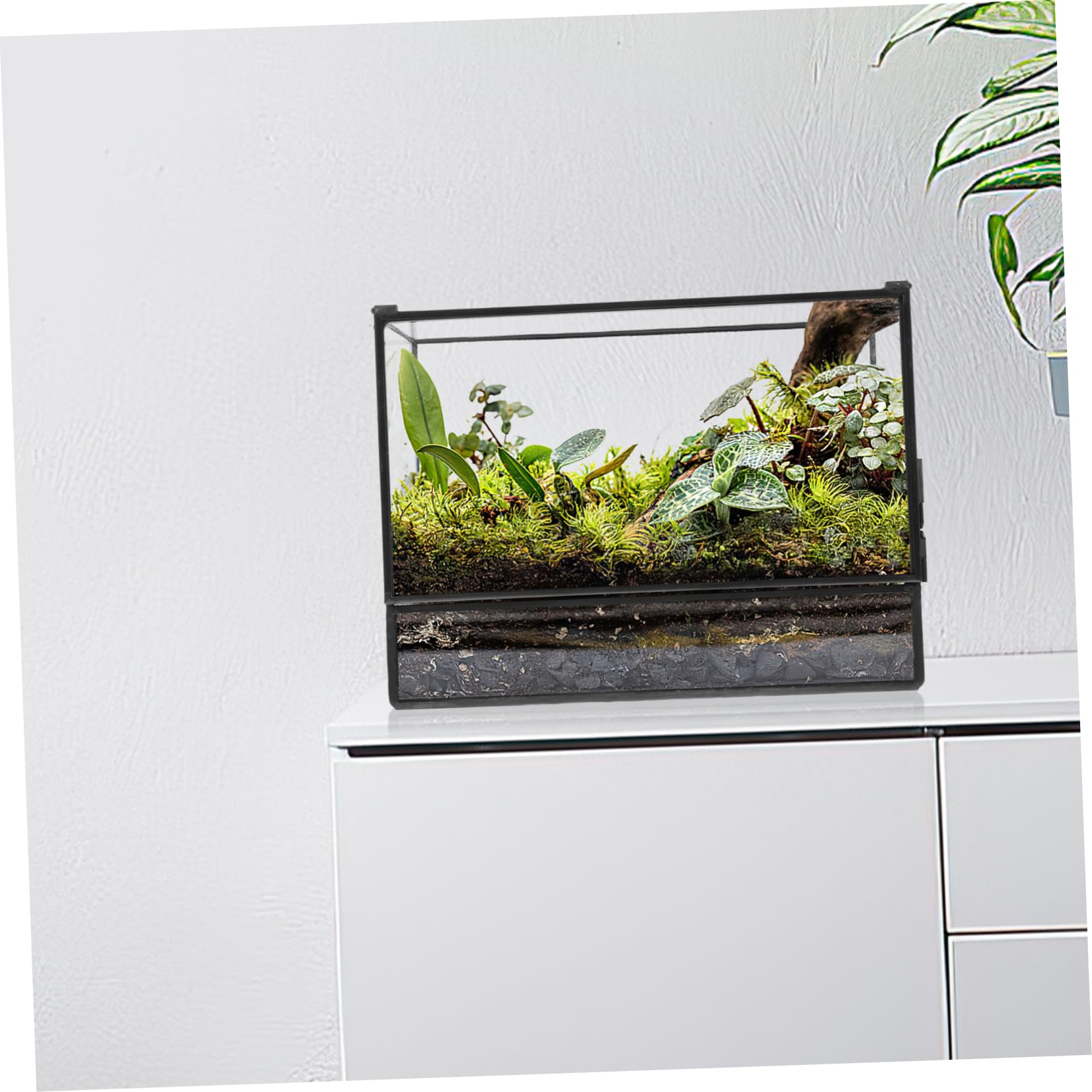 Handgefertigtes Geometrisches Glas Terrarium mit Glatter Oberfläche für Pflanzen und Moos Kleines Terrarium für Wohnzimmer und Tischdekoration