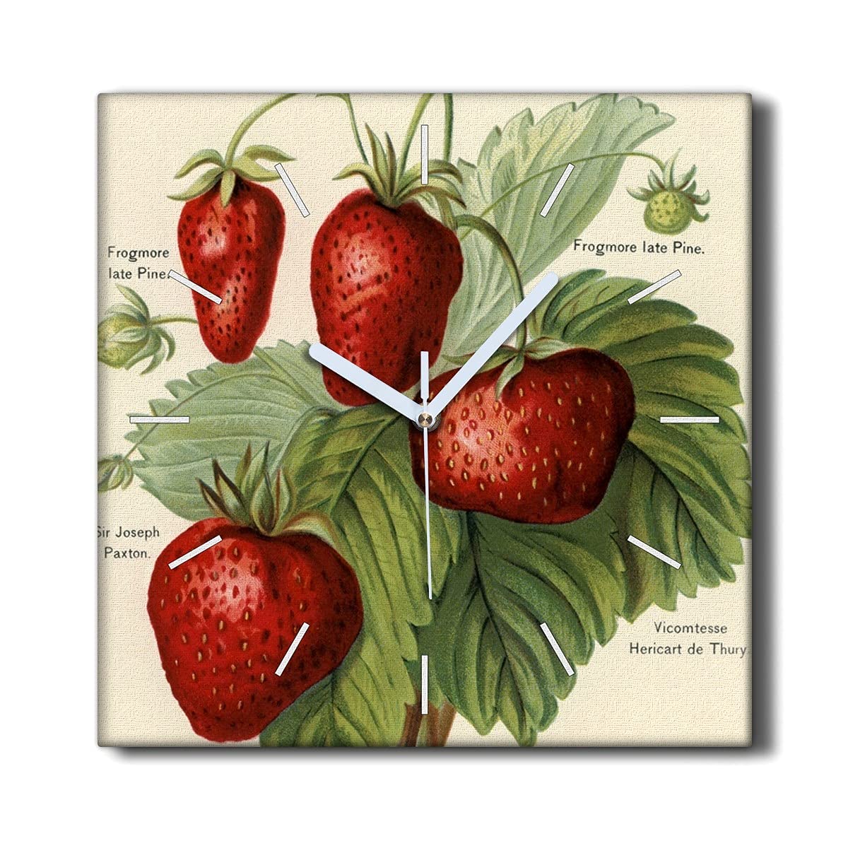 Horloge Murale sans tic-tac Fruits Feuilles de Fraises - Toile 30x30 cm pour Salon