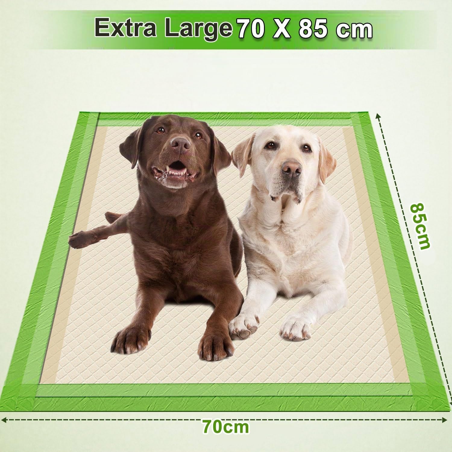 Gardner Pet 30 Pièces Tapis Absorbant pour Chien Écologiques 70x85CM, Alèse Jetable Chien Ultra Absorbant Alaise Anti-Fuite Résistante, Tapis Éducateurs Pipi Propreté pour Chiot, Chiens et Chats