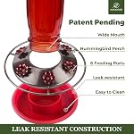 Kingsyard Feeder de colibri en verre pour les oiseaux sauvages extérieurs avec 6 Ports d'alimentation suspendus pour jardinier, rouge (Mouvement d'Antre inclus)