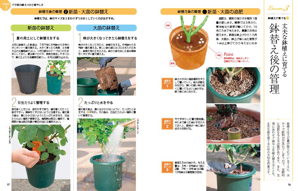 決定版 美しく咲かせる バラ栽培の教科書 鈴木満男 本 通販 Amazon