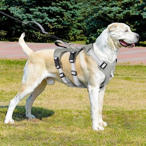 Miniatura 8 de FEimaX Arnés para perro sin tirones, chaleco acolchado suave para perro con 3 clips para la correa y asa de fácil control, reflectante ajustable sin