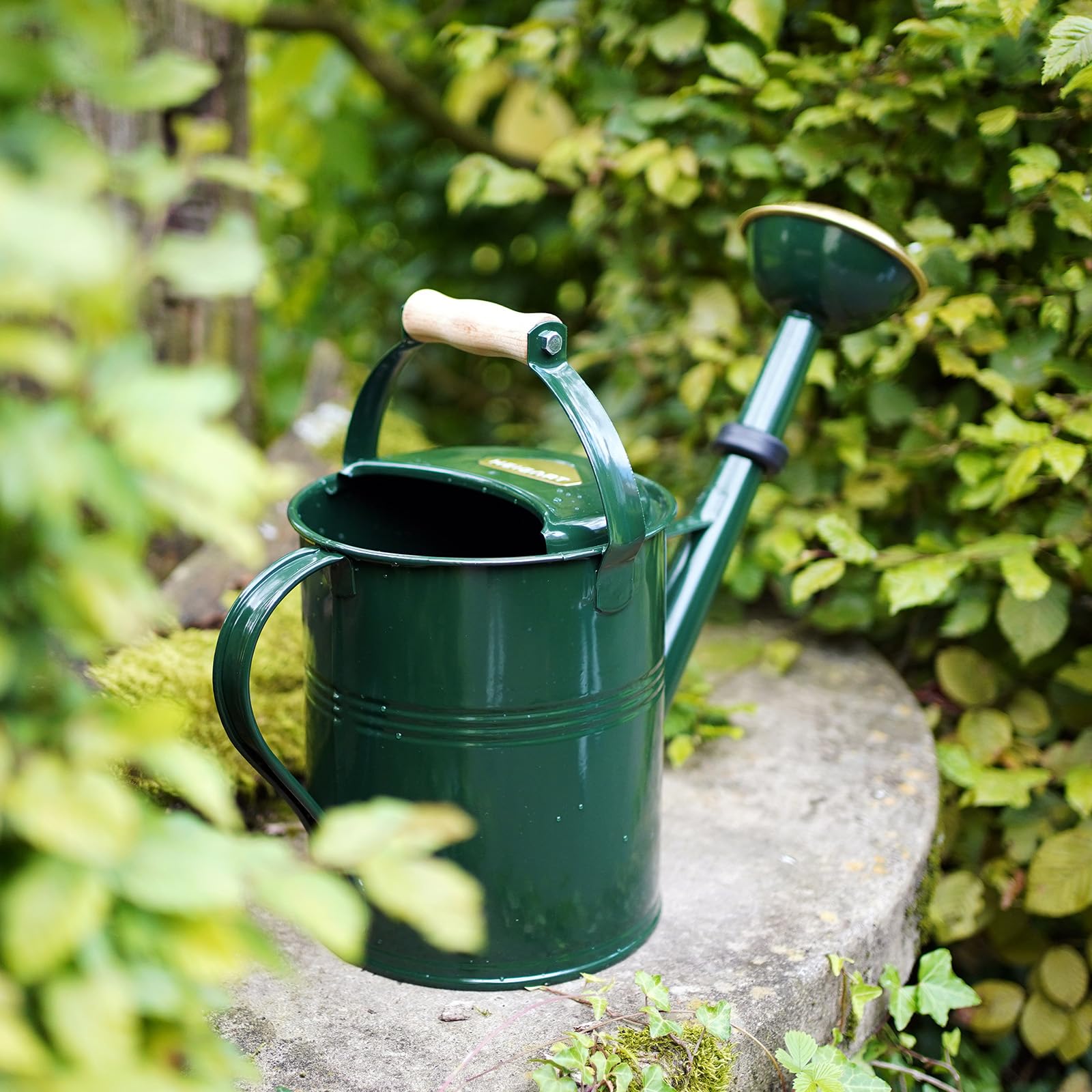 Gießkanne Classic 5L mit Holzgriff