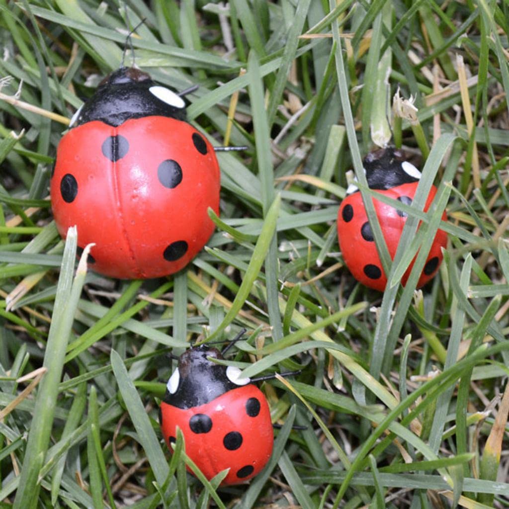 Buy MILAAN Realistic Insect Pot Hangers Fridge Magnet Colorful Garden ...