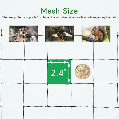 Miniatura 3 de Red para pájaros para jardín, 50 x 50 pies con tamaño de malla de 2.4 pulgadas, protege las plantas vegetales y árboles frutales de aves y otros
