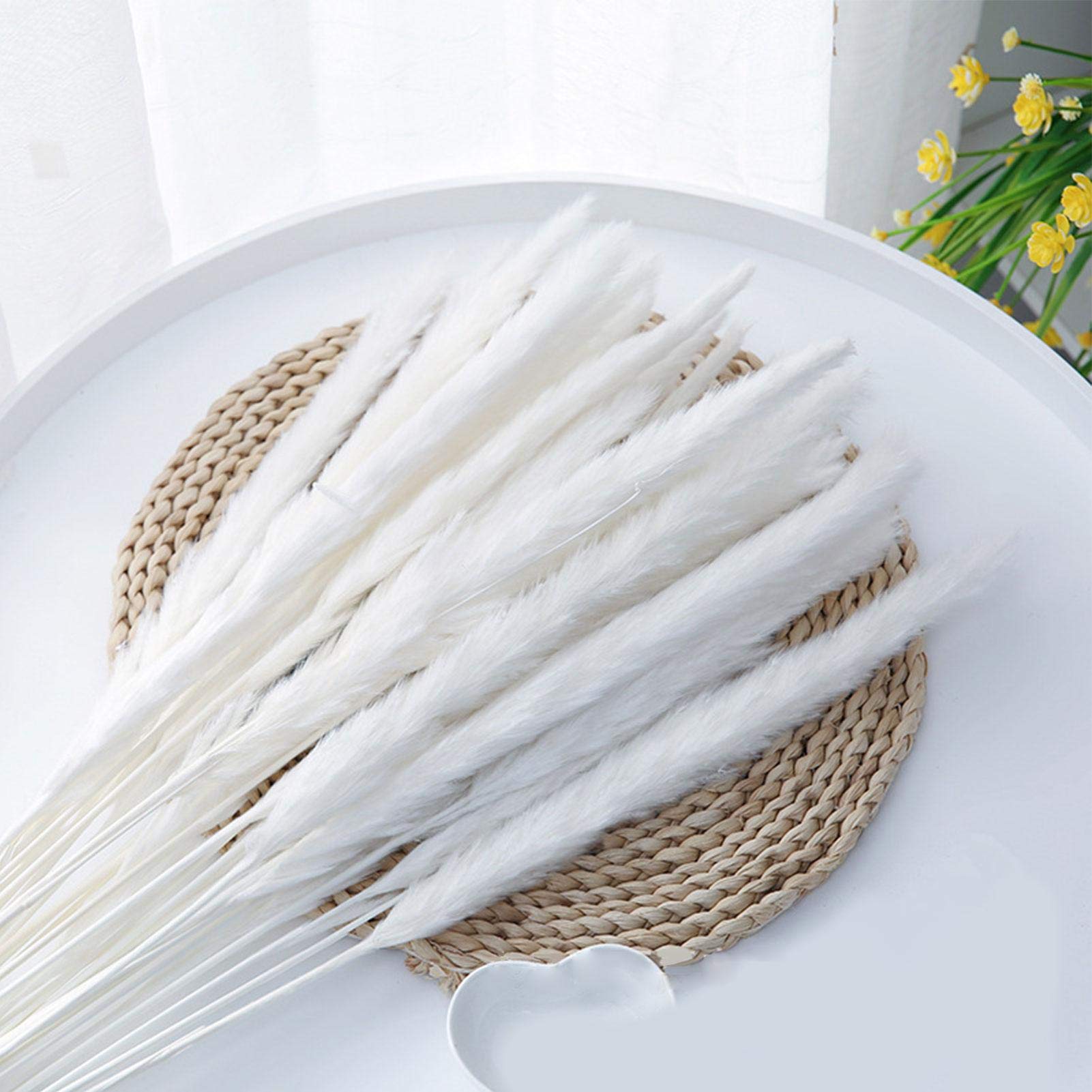 15 Pampas Secche Naturali - Piume Decorative Per Vasi, Matrimoni, Casa E Hotel - Lunghezza 20-30 Cm
