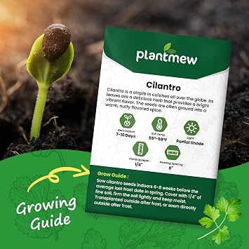 Cilantro Seeds for Planting - 100+ Heirloom Seeds - Herb Seeds Packet for Plating Home Garden, Herb Garden - Indoor/Outdoor, Easy to Grow