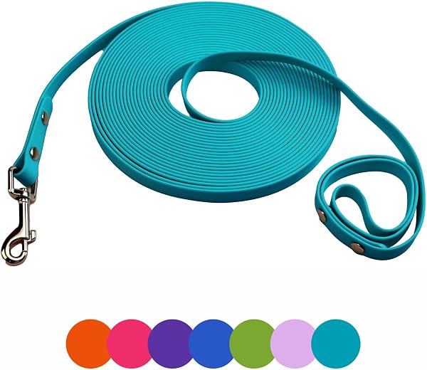 Dog Training Leash, Waterproof Long Dog Leash, Easy to Clean Long Line 6FT 10FT 15FT 30FT 50FT for Small, Medium, Large Dogs(Lake Blue, 6FT) - 1
