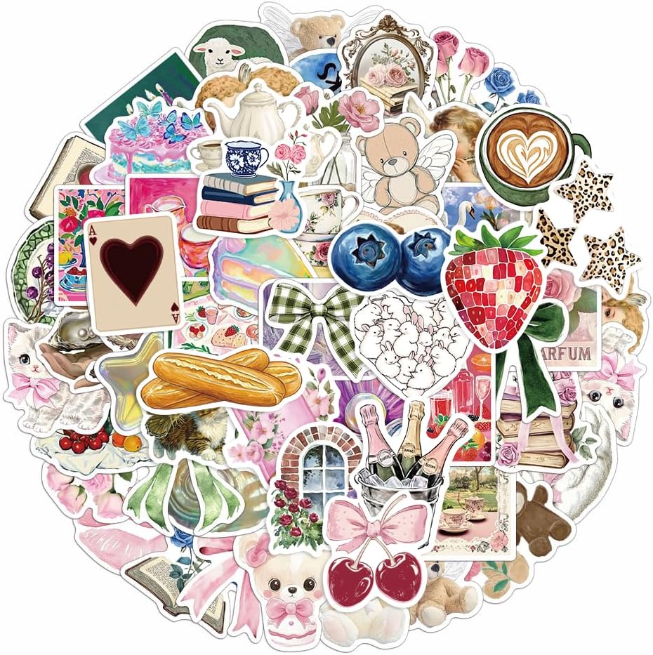 Amazon.com: 100PCS Aesthetic Stickers,Coquette Girl Aesthetic Stickers ...