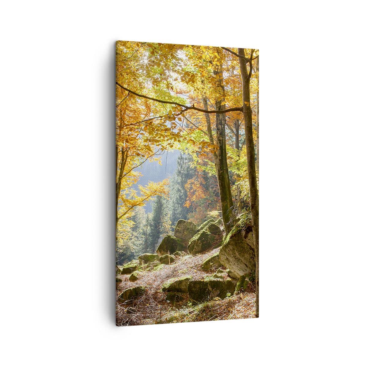Tableau Sur Toile Moderne Pluie D'Automne Dans Un Parc - Décoration Murale 45x80cm Cadre Inclus