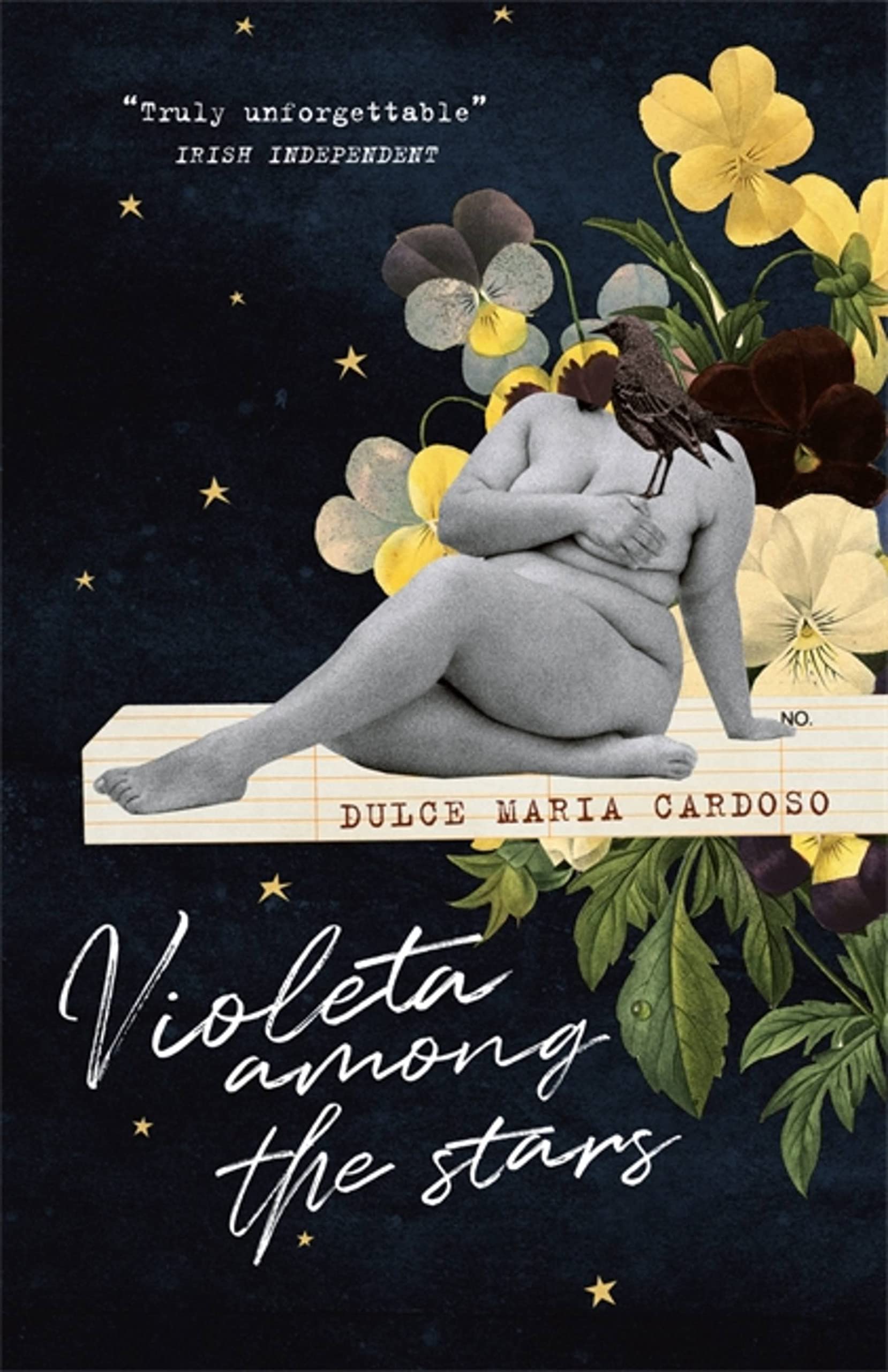 Violeta among the Stars By Dulce Maria Cardoso, Angel Gurria-Quintana