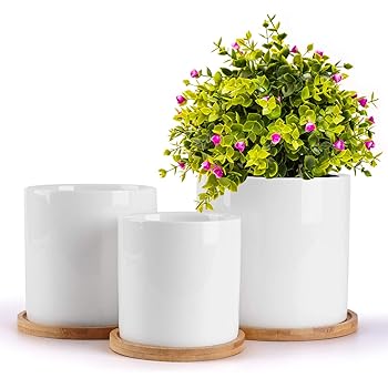 Greenhouses Plant Germination Equipment Songmics White Ceramic Flower Pot Garden Planters 5 3 4 7 Inch Pack 2 Indoor Ulcf003w01 Patio Lawn Garden Newid Com Sg