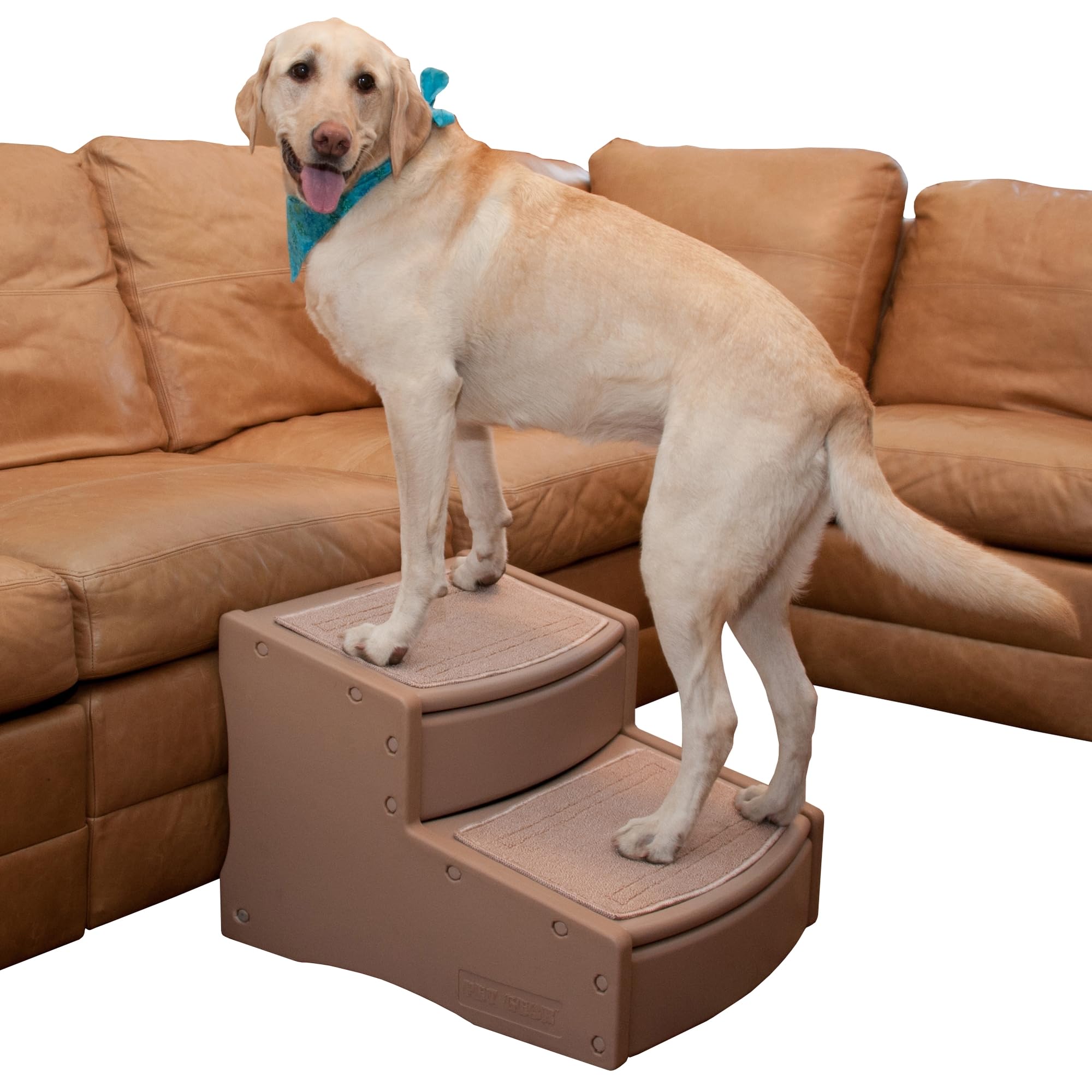 Pet Gear Easy Step II Extra Wide Pet Stairs, 2 Step for Dogs/Cats up to 200 pounds, Removable/Washable Carpet, Easy Assembly (No Tools Required), 3 Colors