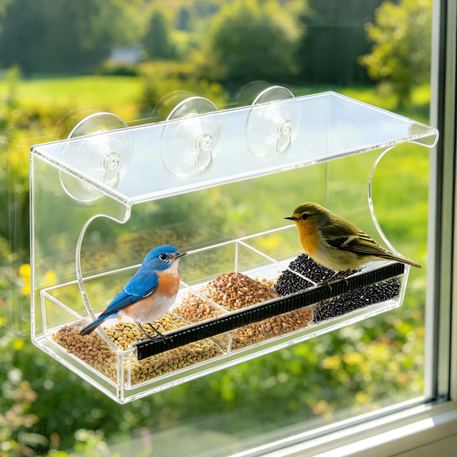 Mangeoire à oiseaux avec ventouses anti-pluie pour garder les graines sèches