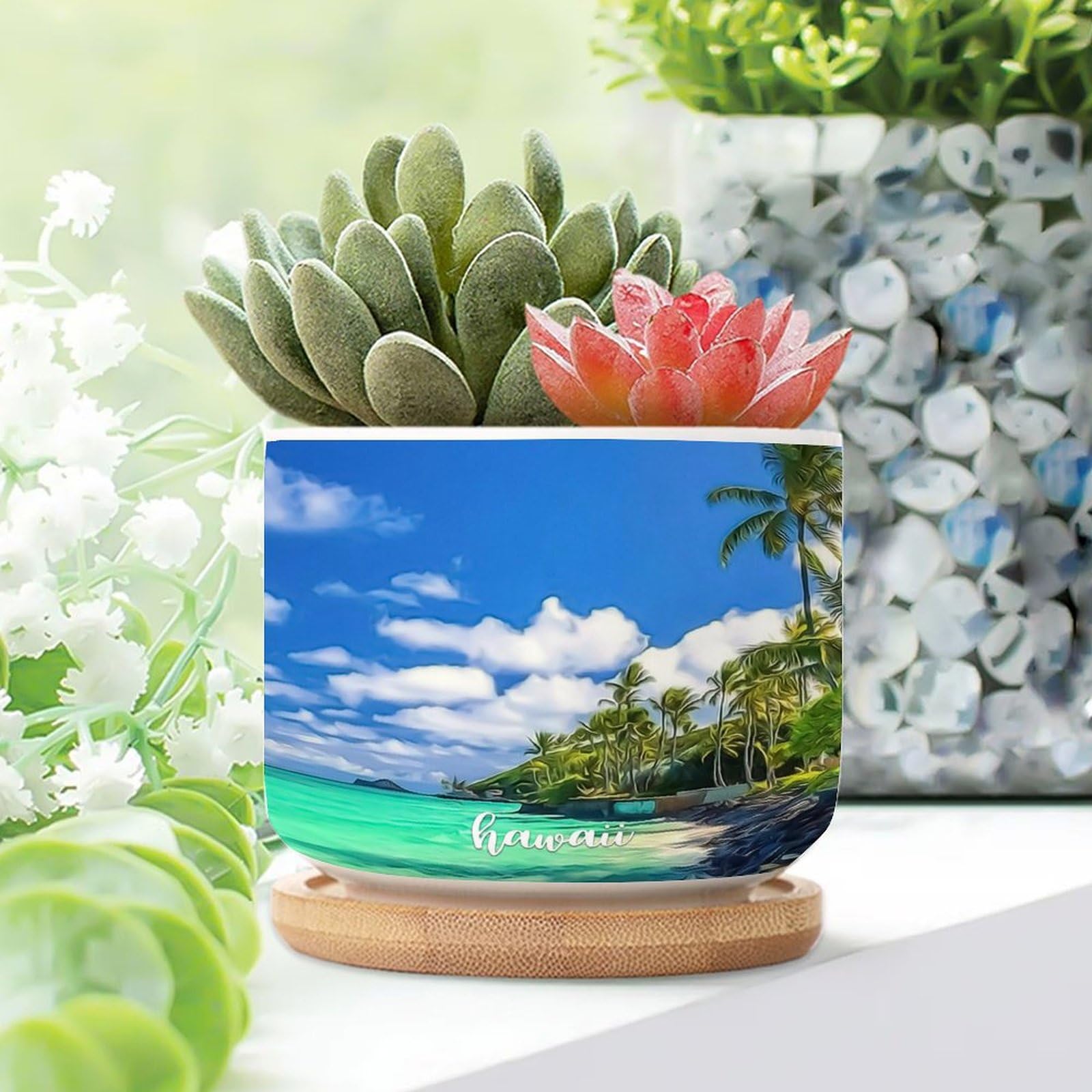 Amazon.com: WoGuangis 3 Piece Ceramic Planter American Beach Hawaii Small  Succulents Plant Pot USA State Hawaii Succulents Pots Gift for Traveler  Friends Plant Pot with Drainage Holes : Patio, Lawn & Garden