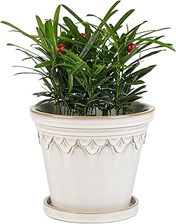 White Ceramic Planter with Saucer