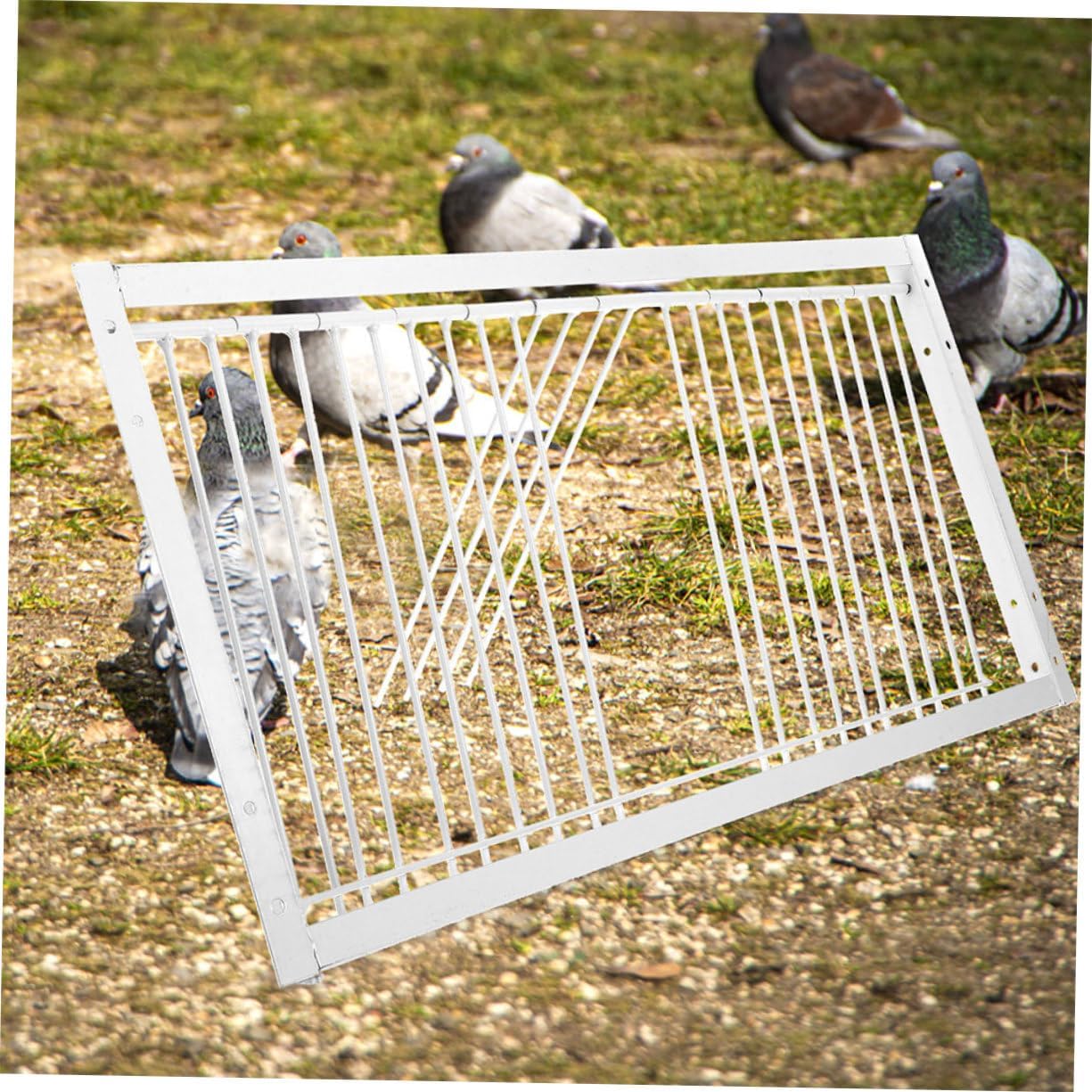 2pcs Sturdy Racing Pigeon Equipment Door Pigeon Loft Door Bird Accessory