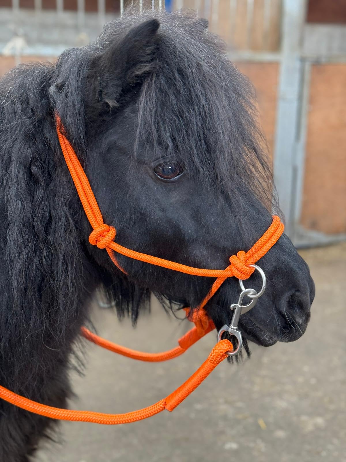 Rope headcollar with Reins for use of Bitless Horse Riding Full to Mini Shet 5 Colours (Orange, Full)