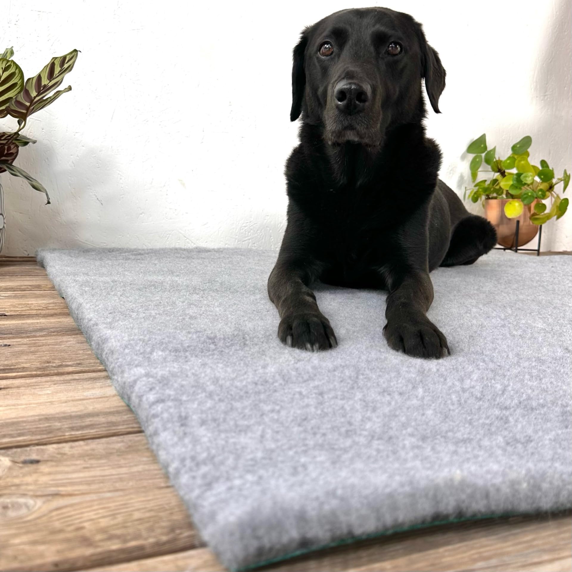 SoulPet Traditional Green Back Grey Vet Bedding – Premium Veterinary Fleece for Dogs & Pets. VET BED for Puppies whelping Dry Bed Size: 100cm x 51cm
