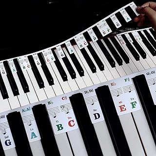 Piano Keyboard Stickers for Beginners Removable Piano Notes Guide Key Labels with Storage Box for 49/61/76/88 Key Keyboards, Reusable Transparent Made of PVC, No Need To Stick,Colorful